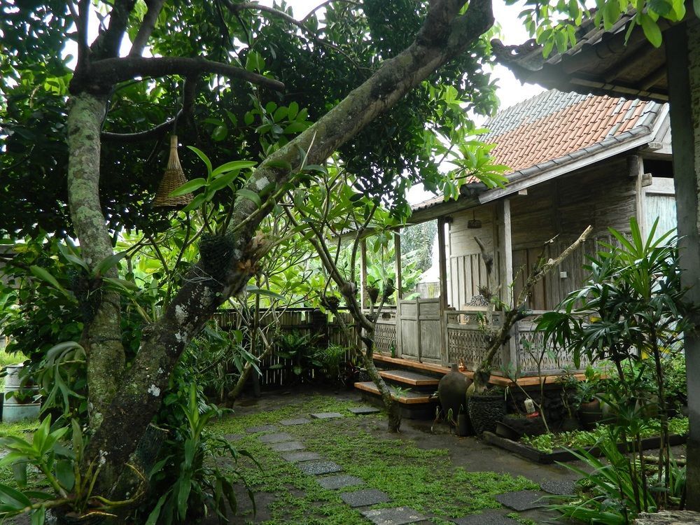 D'Tegale Homestay Cepaka Esterno foto