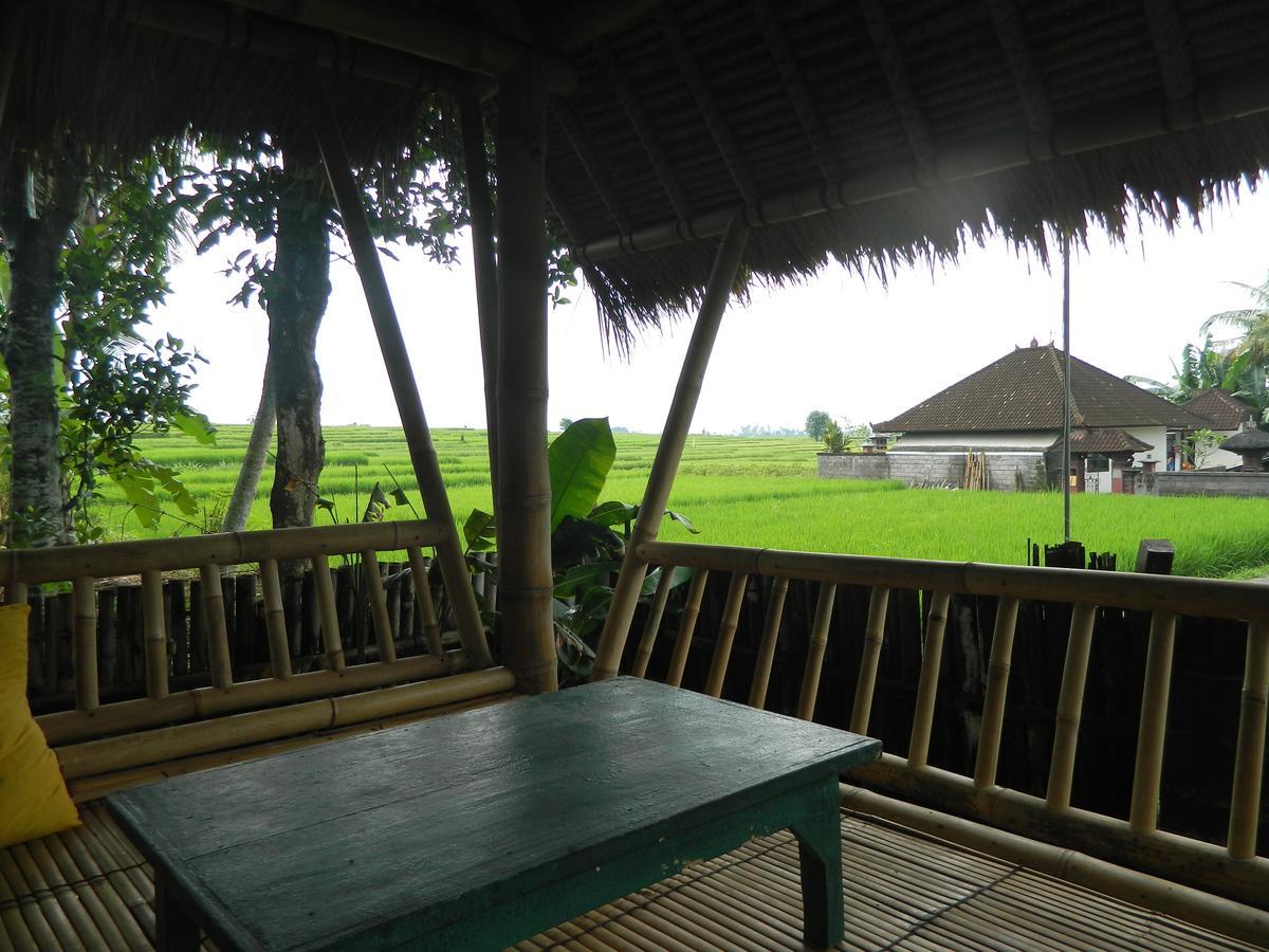 D'Tegale Homestay Cepaka Esterno foto
